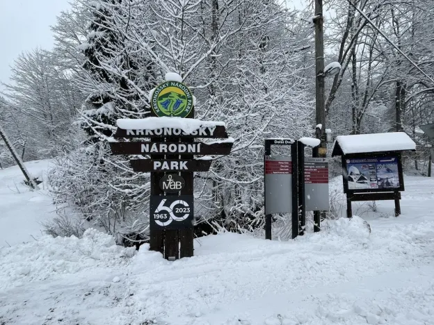 Prodej chalupy, Dolní Dvůr, 270 m2