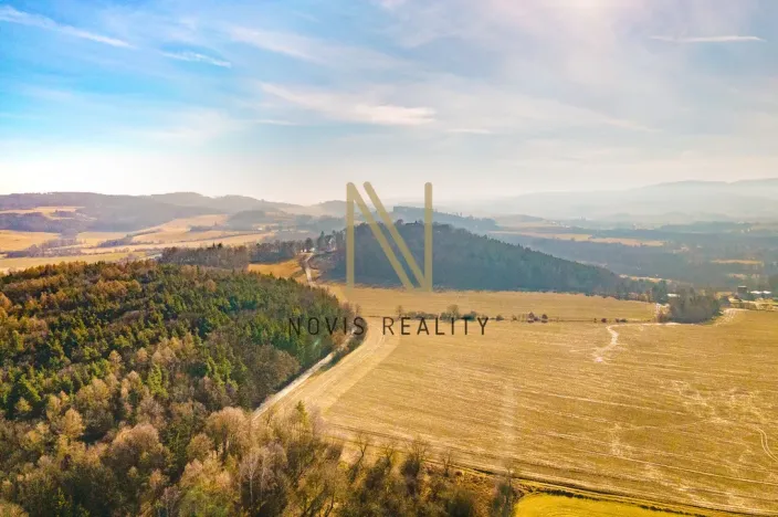 Prodej pozemku pro bydlení, Janovice nad Úhlavou, 800 m2