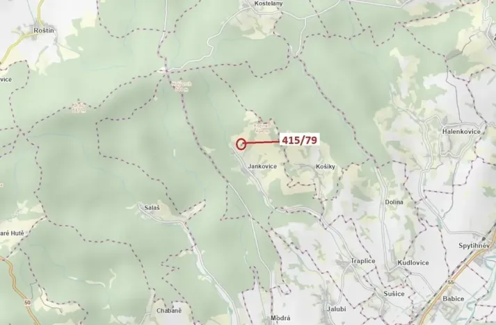 Dražba louky, Jankovice, 2523 m2