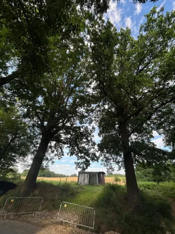 Prodej pozemku pro bydlení, Bavorov - Svinětice, 1396 m2