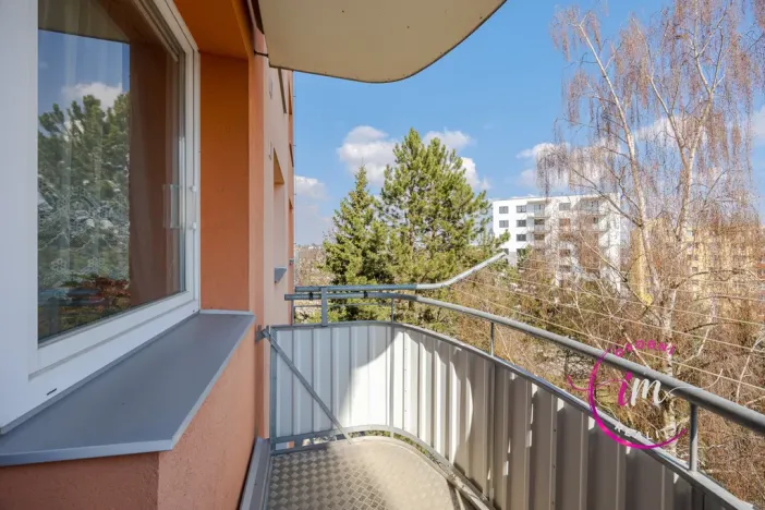 Prodej bytu 1+1, Jihlava, Březinova, 36 m2