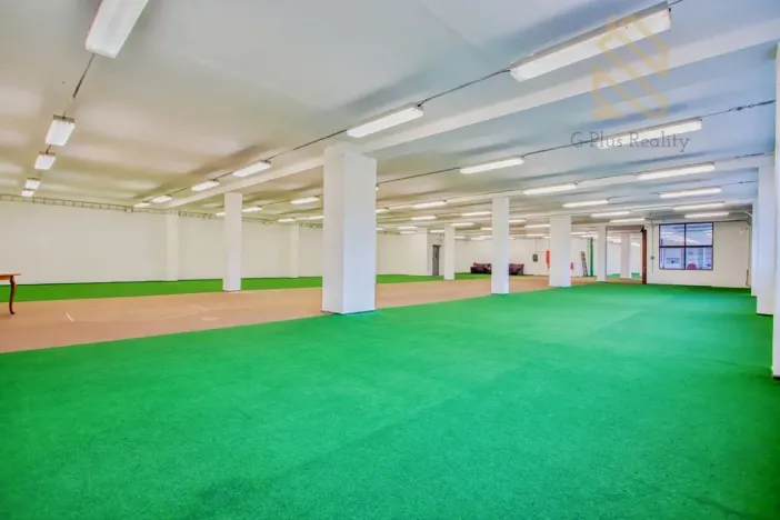 Pronájem obchodního prostoru, Polepy, 1200 m2