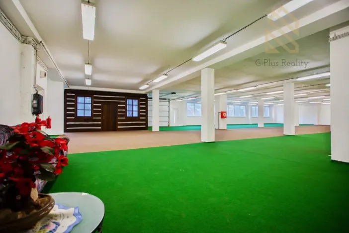 Pronájem obchodního prostoru, Polepy, 1200 m2