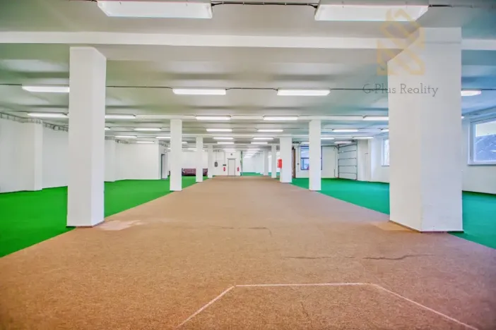 Pronájem obchodního prostoru, Polepy, 1200 m2