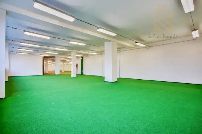 Pronájem obchodního prostoru, Polepy, 1200 m2