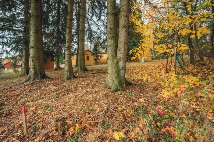 Prodej pozemku pro bydlení, Seč, 313 m2