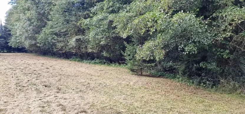 Prodej pozemku pro bydlení, Zbraslavice, 1832 m2