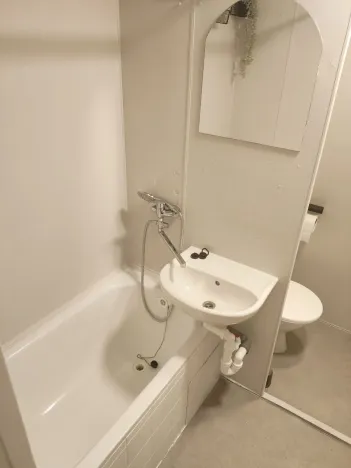 Pronájem bytu 1+kk, České Budějovice - České Budějovice 3, Pekárenská, 21 m2