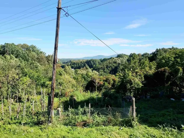 Prodej rodinného domu, Jeseník, 350 m2