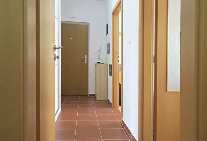 Pronájem bytu 2+kk, Brno, Netušilova, 42 m2