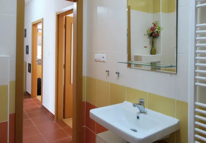 Pronájem bytu 2+kk, Brno, Netušilova, 42 m2