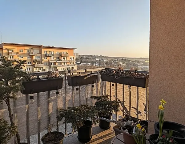 Prodej bytu 2+kk, Brno, Sedláčkova, 49 m2