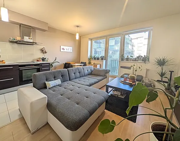 Prodej bytu 2+kk, Brno, Sedláčkova, 53 m2