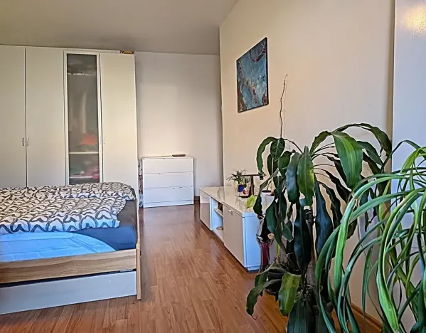 Prodej bytu 2+kk, Brno, Sedláčkova, 53 m2