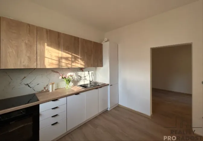 Pronájem bytu 2+1, Hodonín, Měšťanská, 52 m2