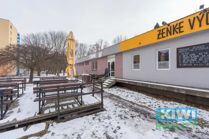 Pronájem obchodního prostoru, Ostrava, Maďarská, 44 m2