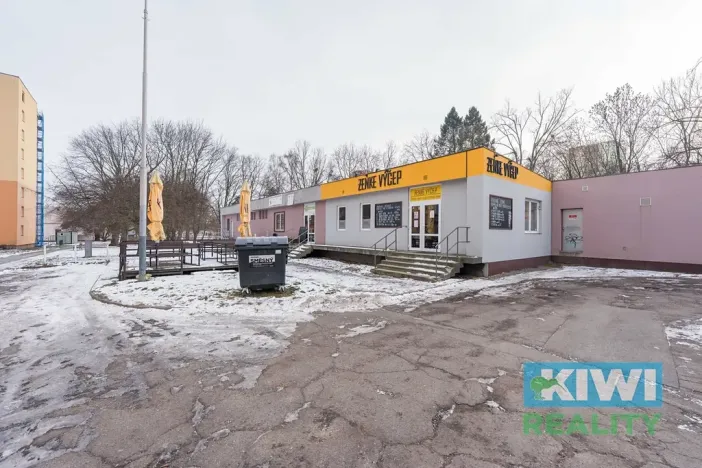 Pronájem obchodního prostoru, Ostrava, Maďarská, 44 m2