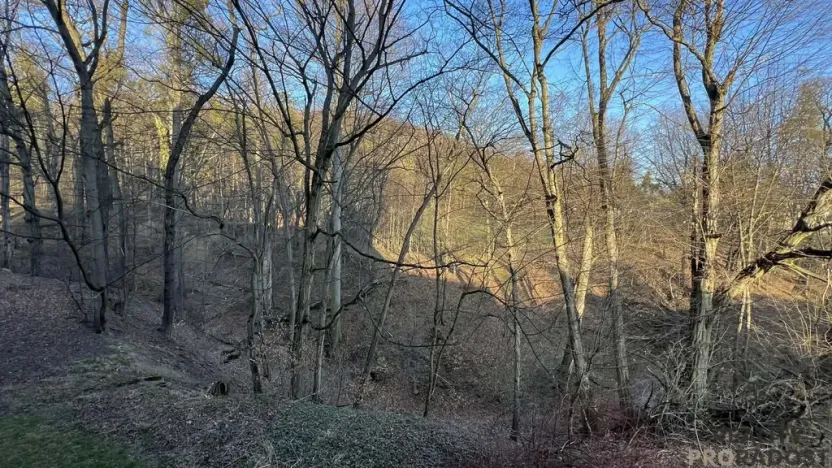 Prodej bytu 4+1, Třinec, Sosnová, 80 m2