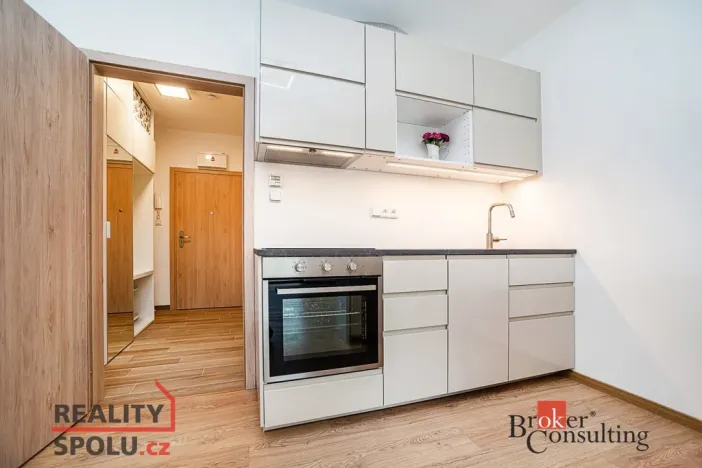 Pronájem bytu 1+kk, Slaný, Lázeňská, 35 m2