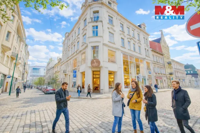 Pronájem restaurace, Plzeň - Vnitřní Město, Zbrojnická, 598 m2
