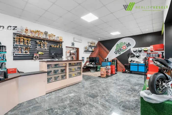 Prodej obchodního prostoru, Hodonín, Měšťanská, 173 m2