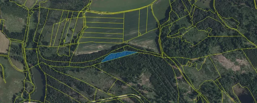 Prodej lesa, Volfířov - Brandlín, 3892 m2