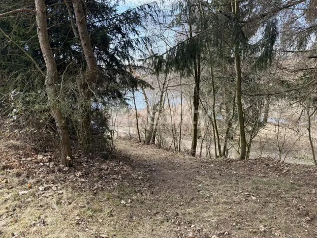 Prodej chaty, Osová Bítýška, 40 m2