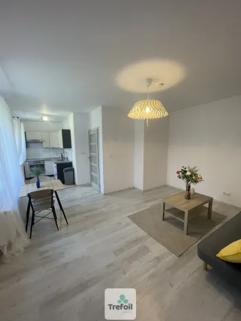 Pronájem bytu 2+kk, Hořín, 42 m2
