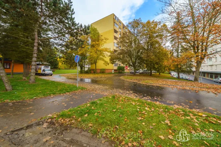 Pronájem bytu 1+1, Sokolov, Švabinského, 45 m2