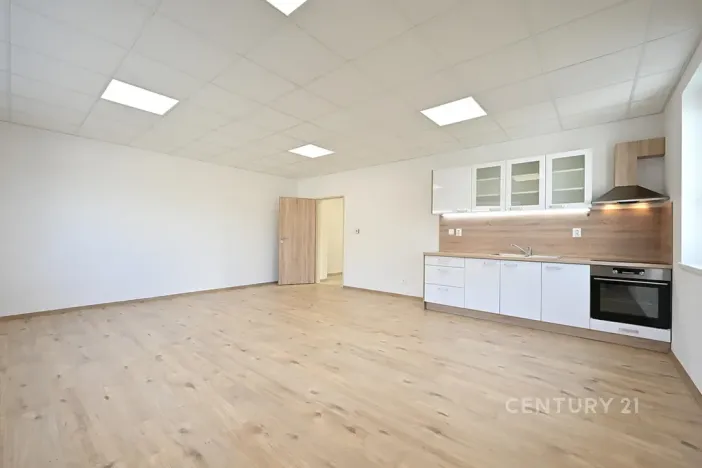 Pronájem bytu 2+kk, Plzeň, Tisová, 70 m2