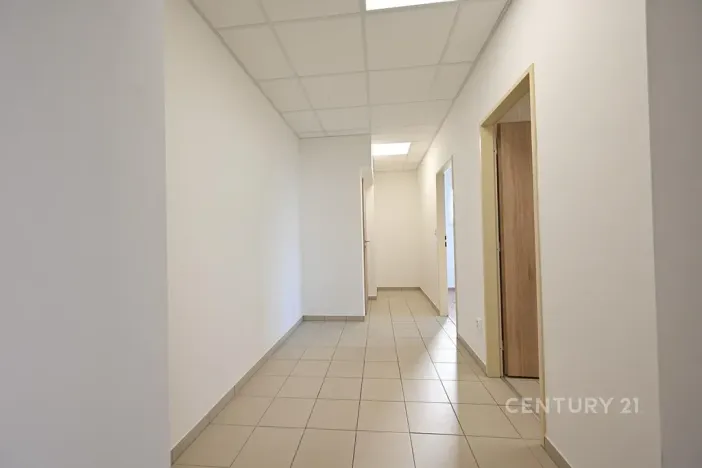 Pronájem bytu 2+kk, Plzeň, Tisová, 70 m2