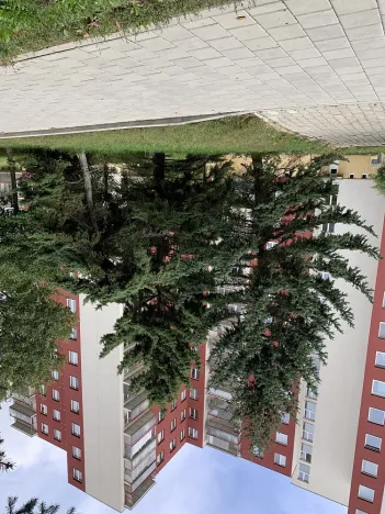 Pronájem obchodního prostoru, Brno - Židenice, Čejkovická, 16 m2