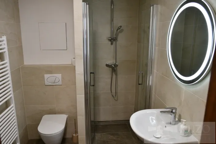 Pronájem bytu 1+kk, Plzeň, Pilařská, 43 m2