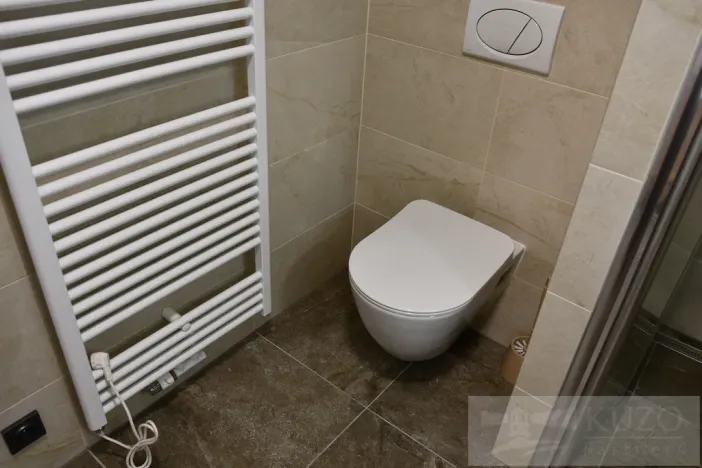 Pronájem bytu 1+kk, Plzeň, Pilařská, 43 m2