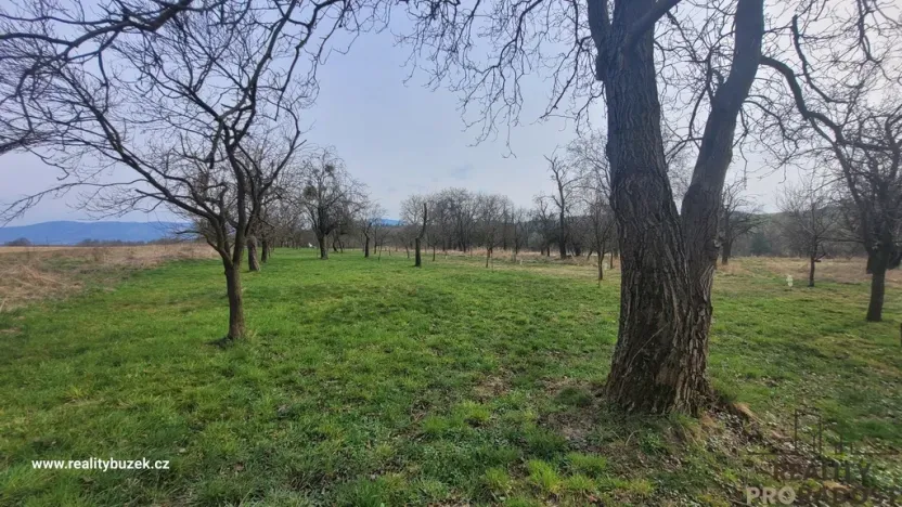 Prodej zahrady, Bystřice pod Hostýnem, 1250 m2