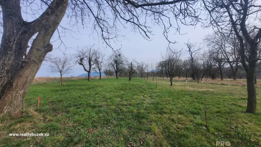 Prodej zahrady, Bystřice pod Hostýnem, 1250 m2