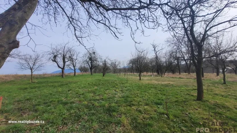 Prodej zahrady, Bystřice pod Hostýnem, 1250 m2