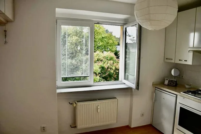 Pronájem bytu 1+1, Brno, Sibiřská, 30 m2