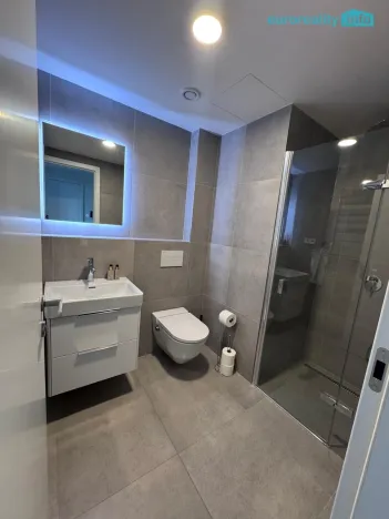 Pronájem bytu 1+kk, Praha - Smíchov, U Lihovaru, 29 m2