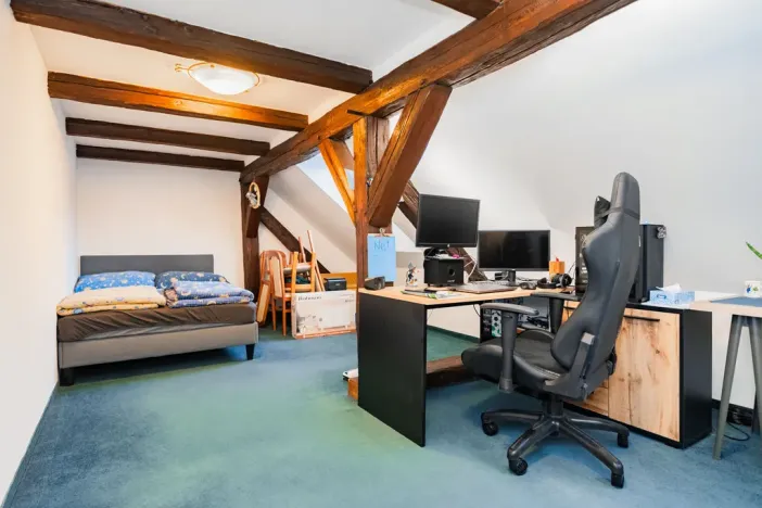 Prodej atypického bytu, Praha - Nové Město, Havlíčkova, 295 m2