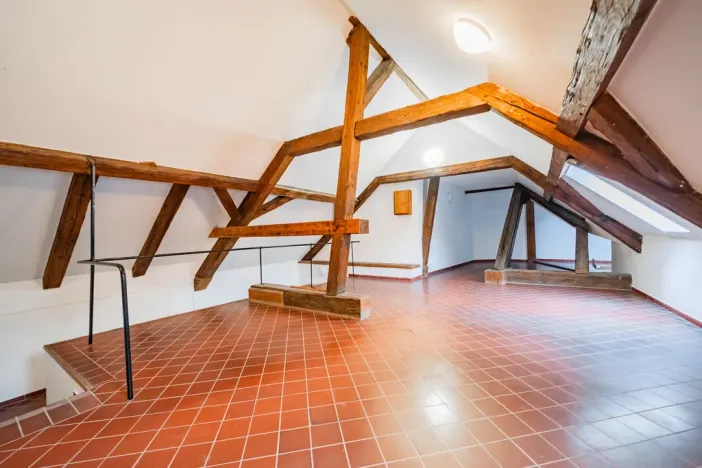 Prodej atypického bytu, Praha - Nové Město, Havlíčkova, 295 m2