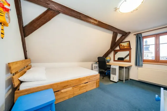 Prodej atypického bytu, Praha - Nové Město, Havlíčkova, 295 m2