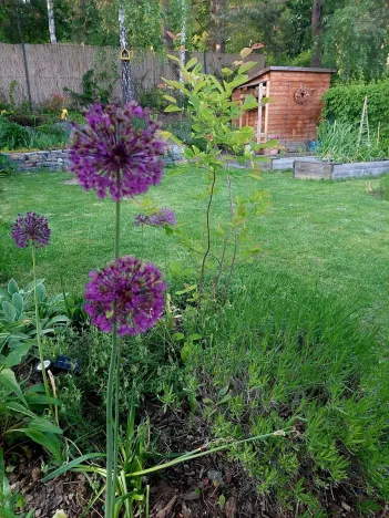 Prodej bytu 3+kk, Brno, 70 m2