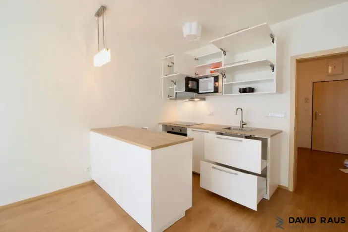 Pronájem bytu 1+kk, Olomouc - Nové Sady, Rokycanova, 40 m2