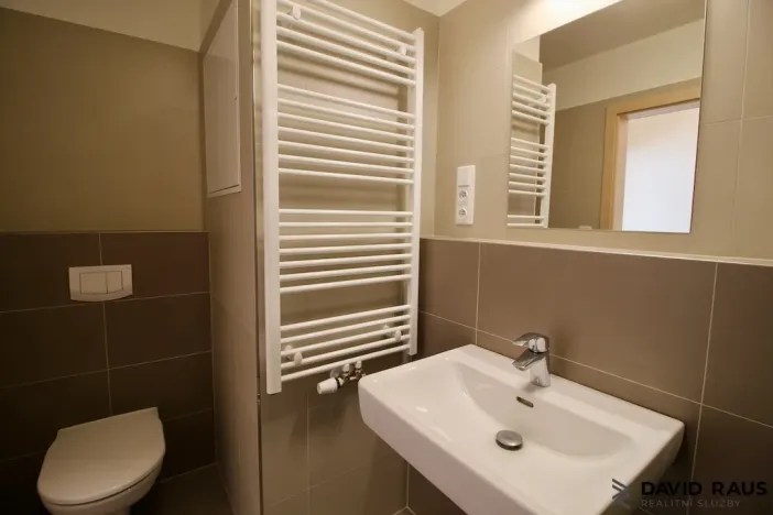 Pronájem bytu 1+kk, Olomouc - Nové Sady, Rokycanova, 40 m2