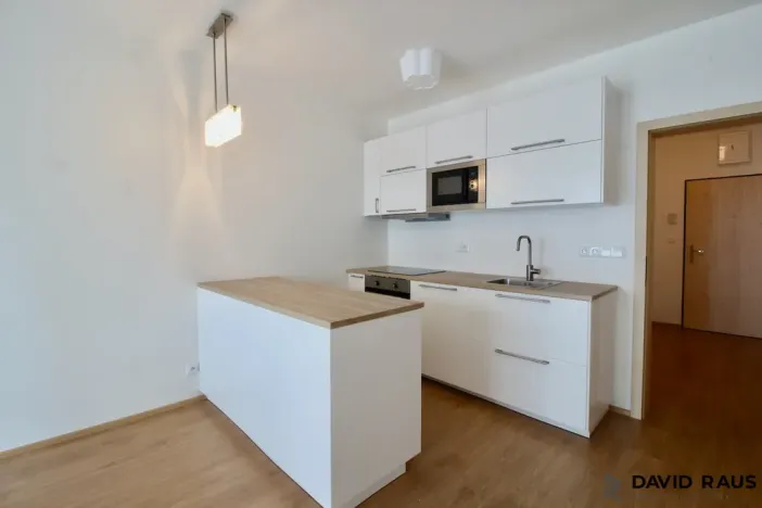 Pronájem bytu 1+kk, Olomouc - Nové Sady, Rokycanova, 40 m2