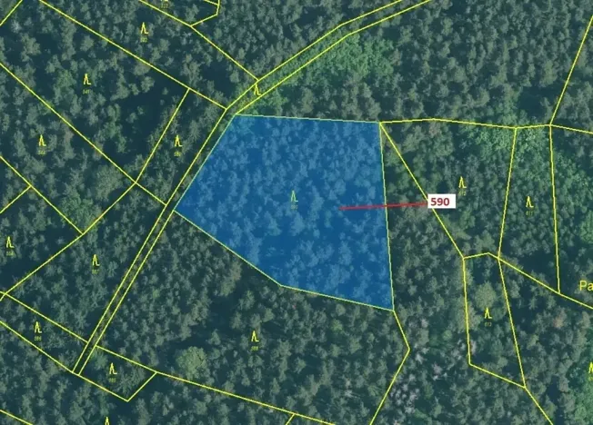 Dražba lesa, Kuřimany, 4807 m2