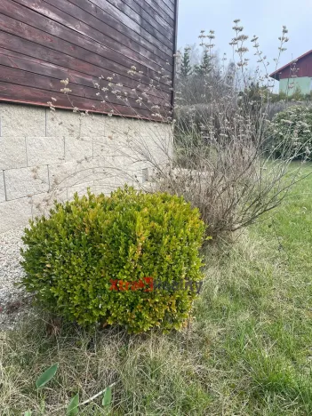 Prodej zahrady, Klášterec nad Ohří - Mikulovice, 303 m2