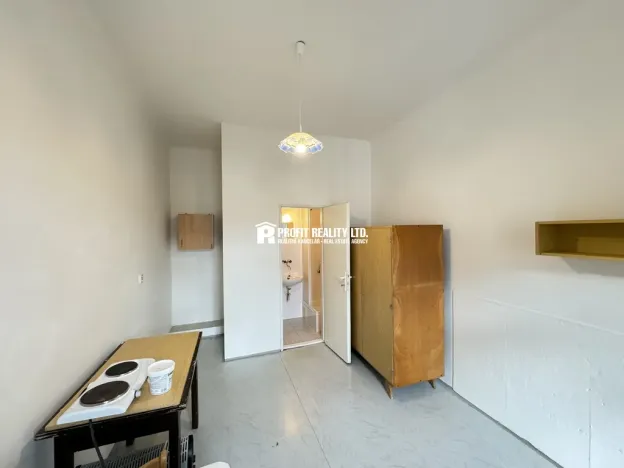 Pronájem bytu 1+kk, Praha - Braník, Branická, 15 m2