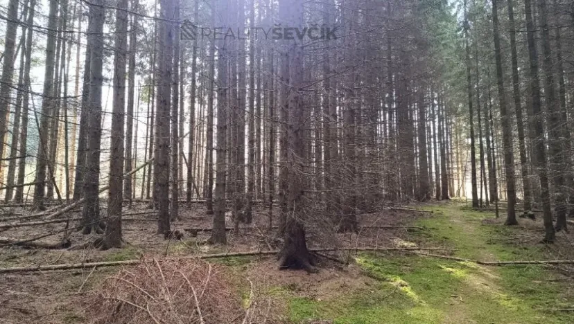 Prodej lesa, Srubec, Ledenická-Škarda, 18018 m2